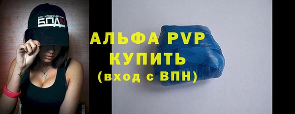 стафф Богородицк