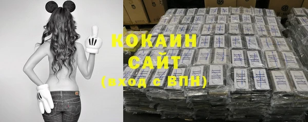стафф Богородицк