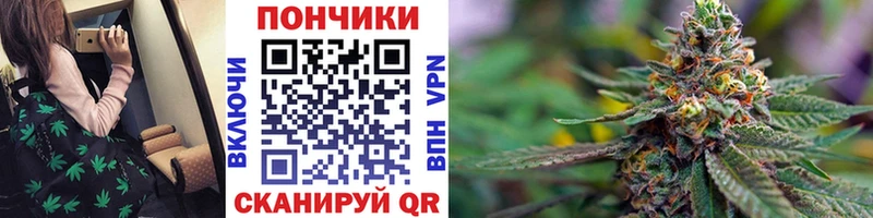 цена   Долгопрудный  Конопля семена 